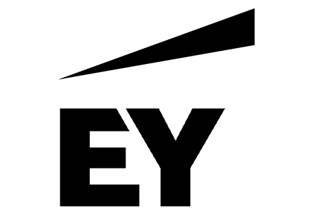 Auditors